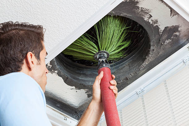 Best Professional Duct Cleaning Services  in Terry, MS